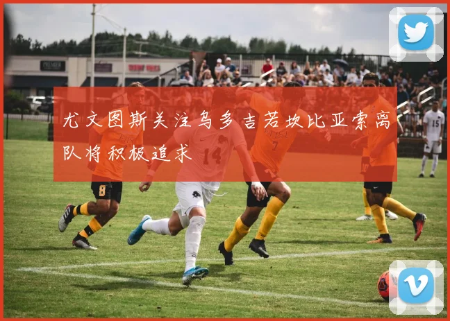 尤文图斯关注乌多吉若坎比亚索离队将积极追求